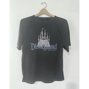 Disneyland Resort Women's Gray T-Shirt Pink Disney Castle Size S